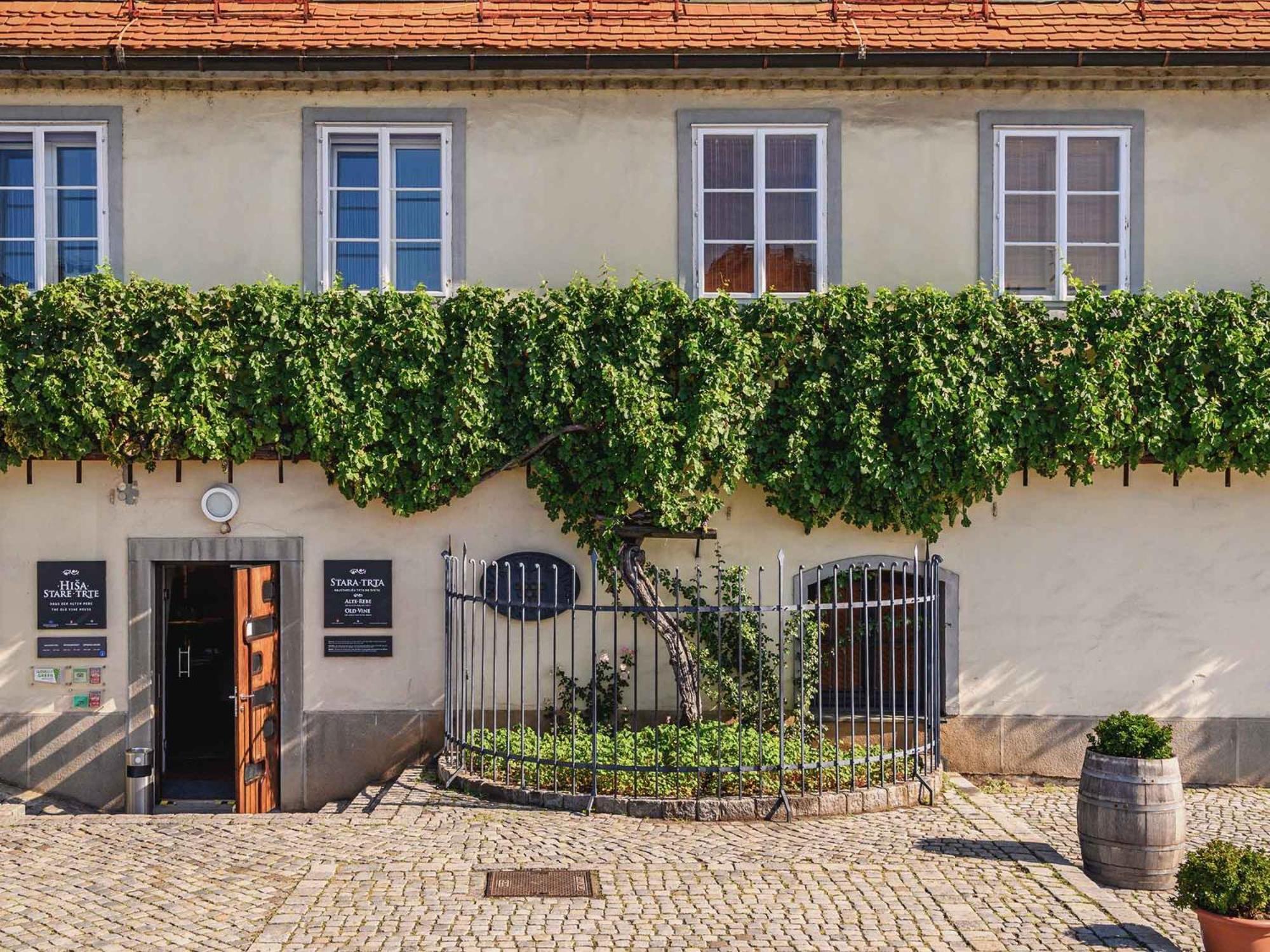 Kavenija Apartmaji - Free Parking Maribor Extérieur photo